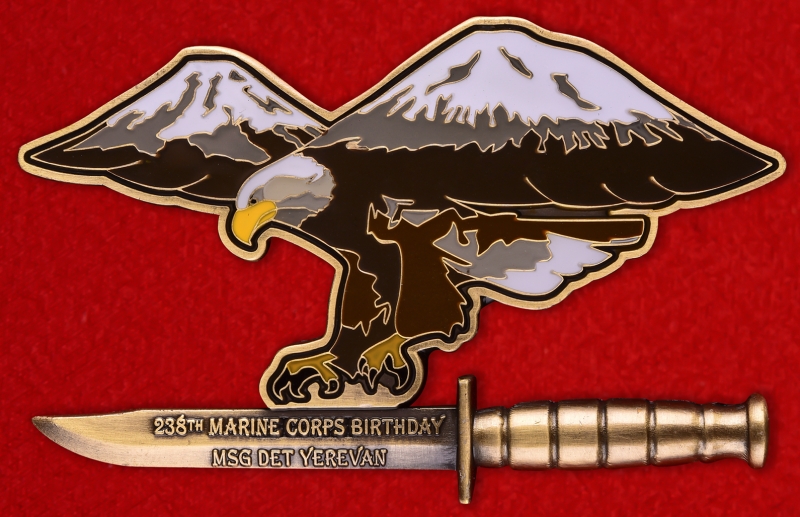 Знак "238 лет USMC" - Корпус морской пехоты США