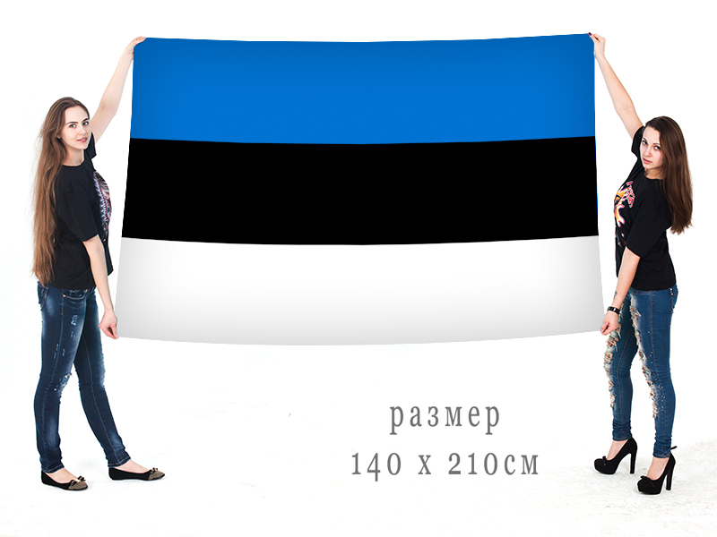 Флаг Эстонии Фото Картинки