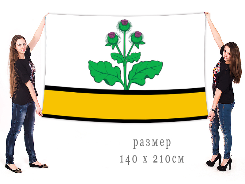 Большой флаг Репьёвского муниципального района