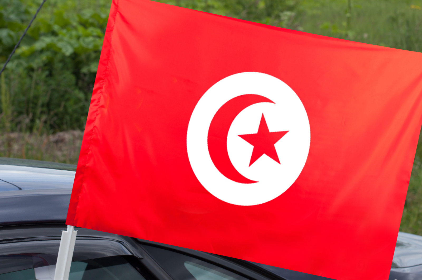Недорого купить флаг Туниса на машину с доставкой