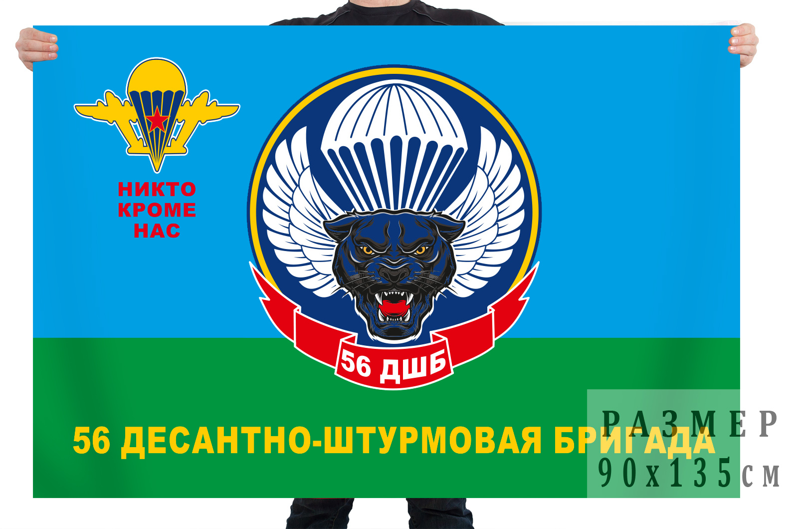56 й гвардейский десантно штурмовой полк