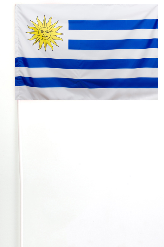 Флажок Уругвая на палочке недорого