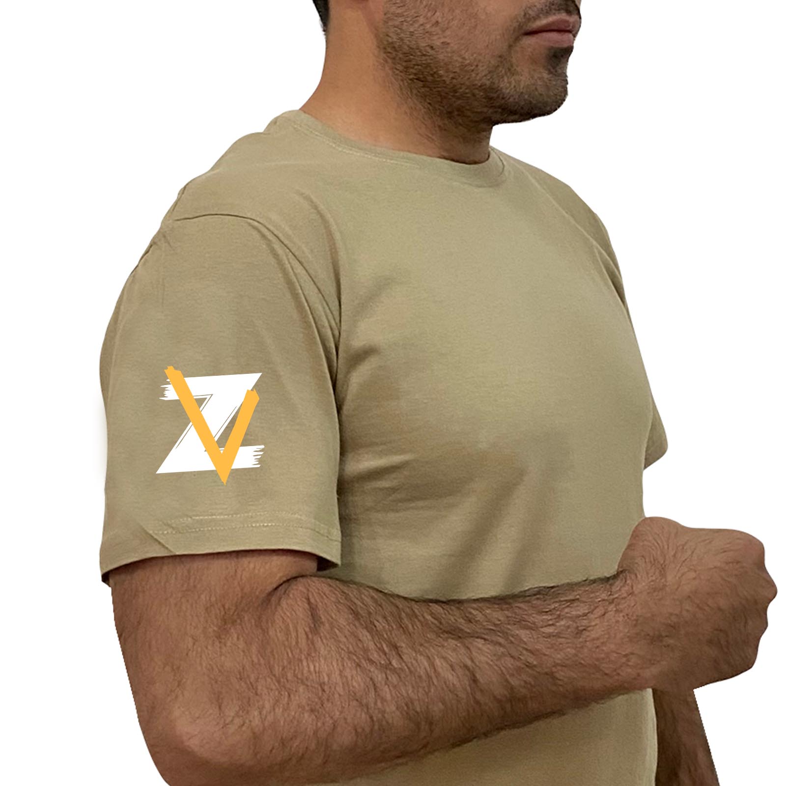 Купить трикотажную мужскую футболку Z V с доставкой